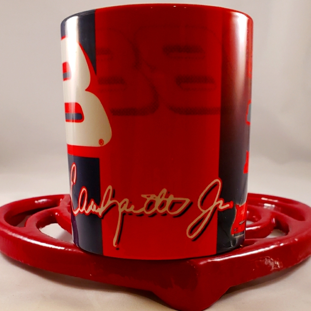 Nascar Dale Earnhardt Jr. Coffee Mug ☕